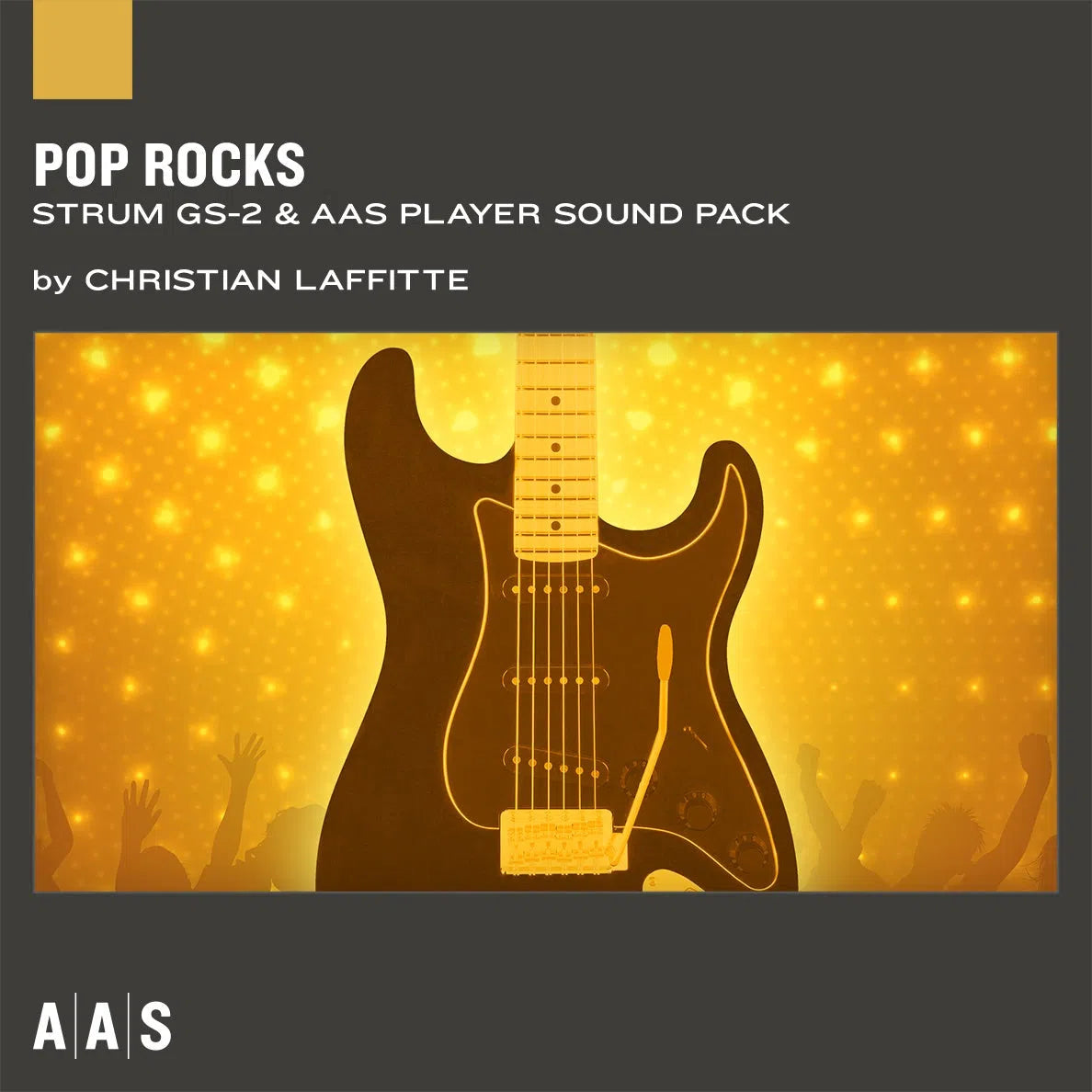 Applied Acoustics Strum GS-2 + PACKS