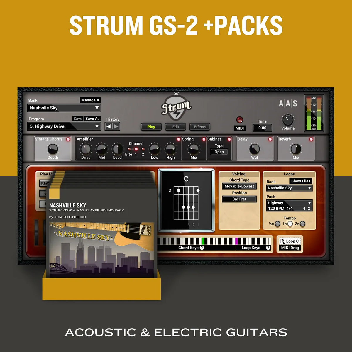 Applied Acoustics Strum GS-2 + PACKS