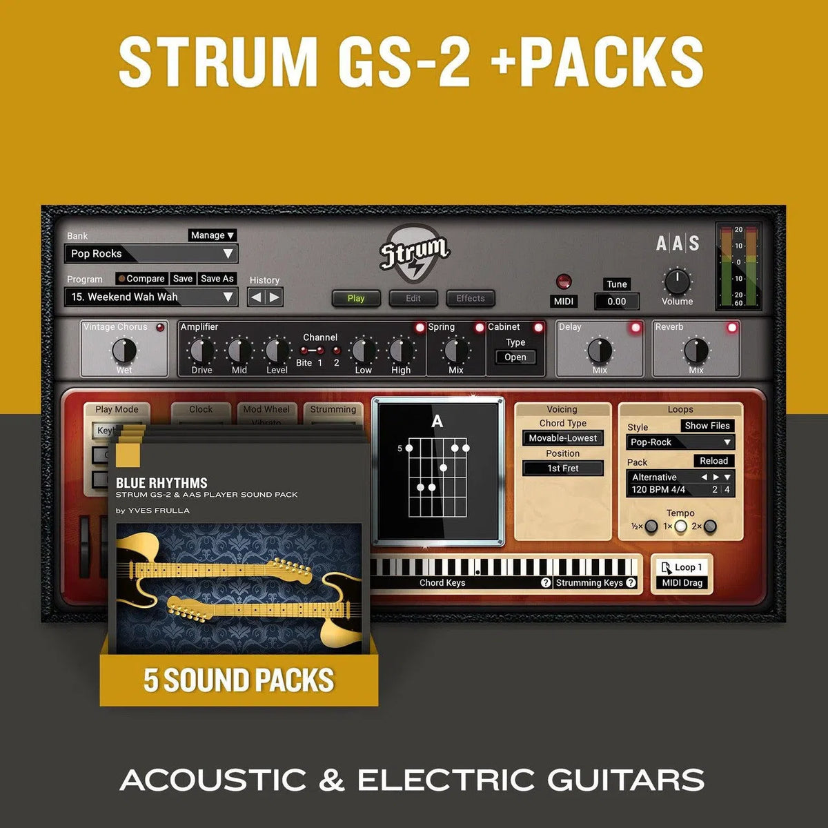 Applied Acoustics Strum GS-2 + PACKS