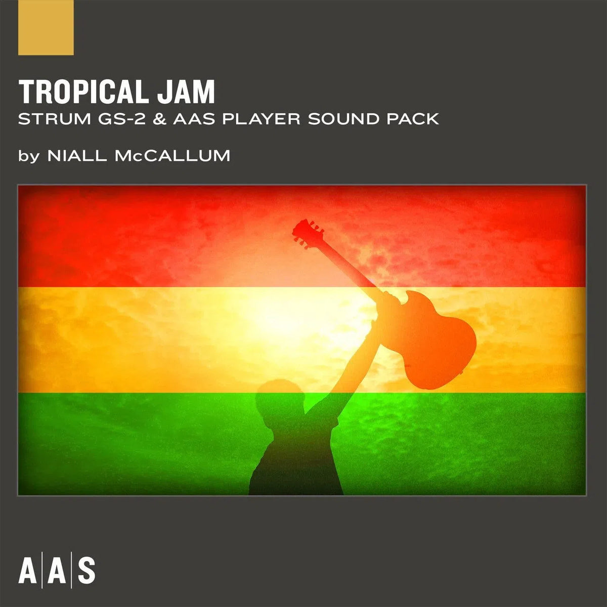 Applied Acoustics Tropical Jam - Sound Pack for Strum GS-2