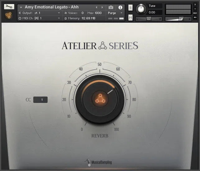 Musical Sampling Atelier Series Amy