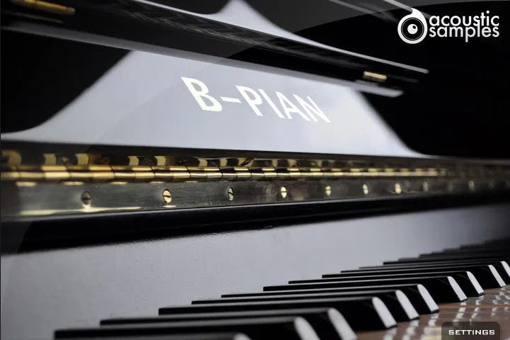 Acousticsamples B-PIAN