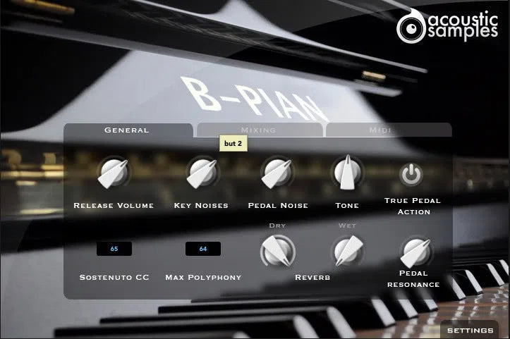 Acousticsamples B-PIAN