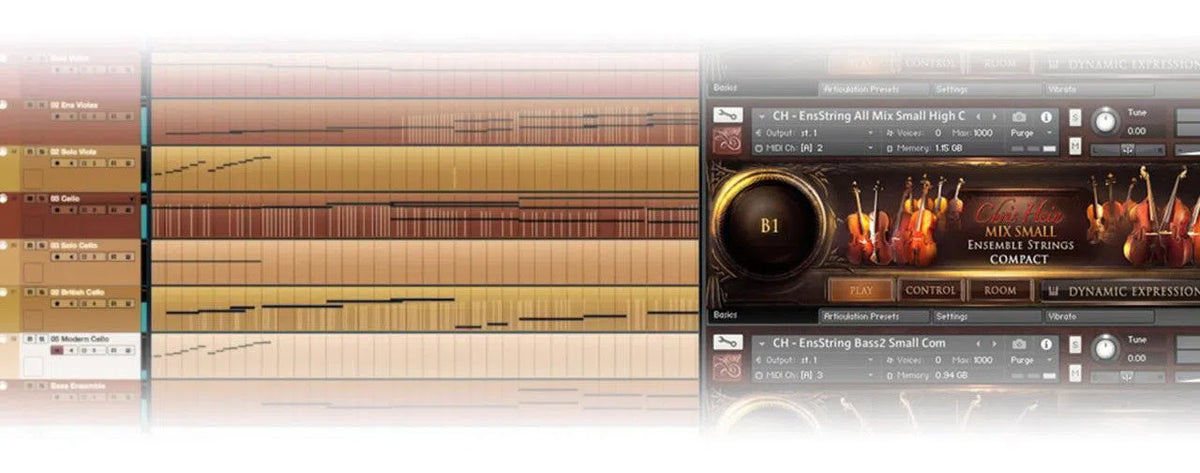 Best Service Chris Hein Strings Compact