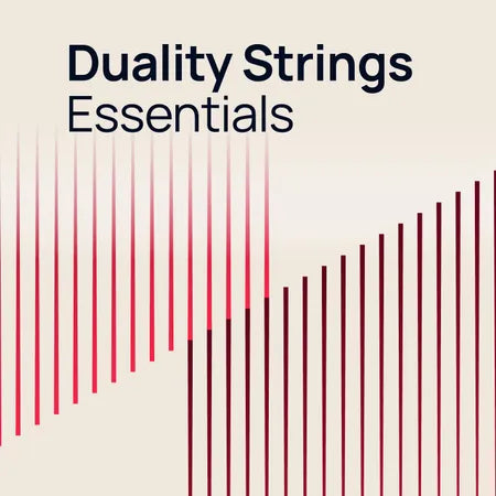 Vienna Duality Strings Essentials