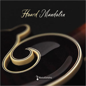 Musical Sampling Hoard Mandolin