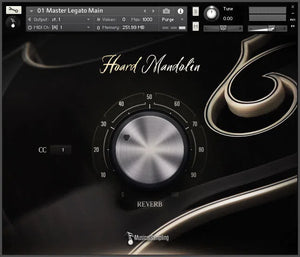 Musical Sampling Hoard Mandolin