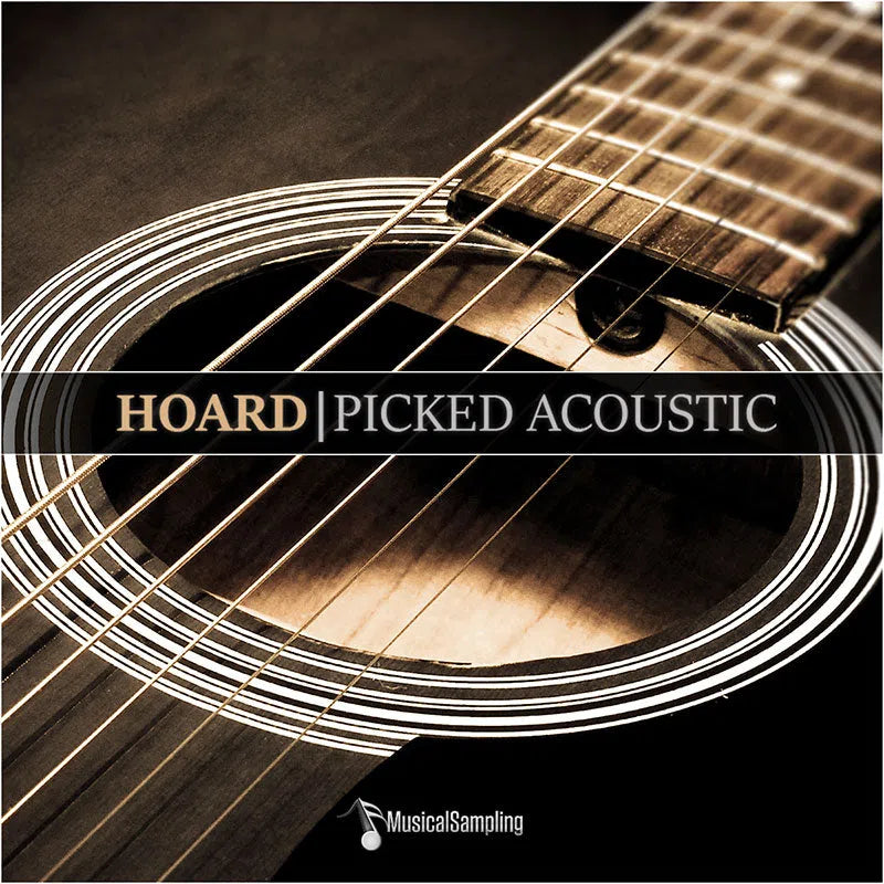 Musical Sampling Hoard Picked Acoustic