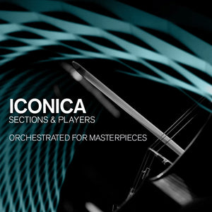 Steinberg Iconica Sections & Players
