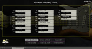 Prominy SC Electric Guitar 2
