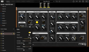 Moog Mariana