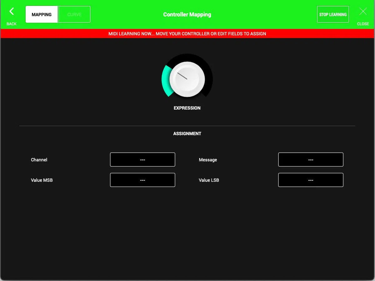 Audio Modeling SWAM String Sections
