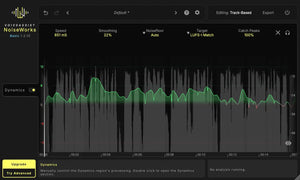 NoiseWorks VoiceAssist Basic
