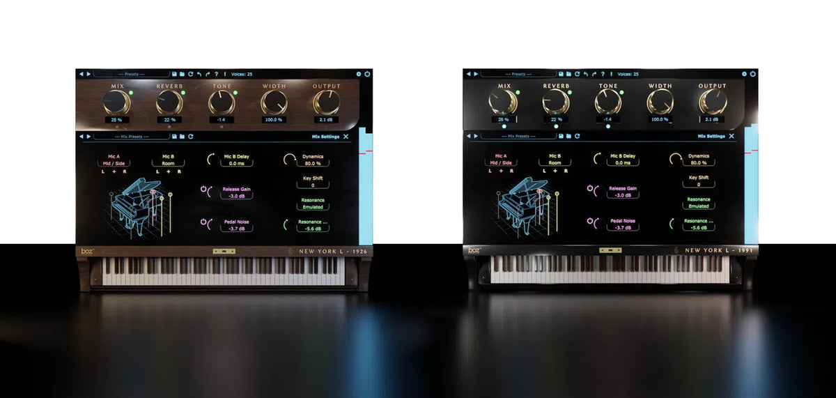 Boz Digital Labs New York L Bundle