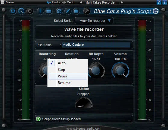 Blue Cat Audio Plug 'n Script