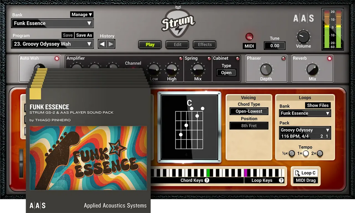 Applied Acoustics Strum GS-2 + PACKS