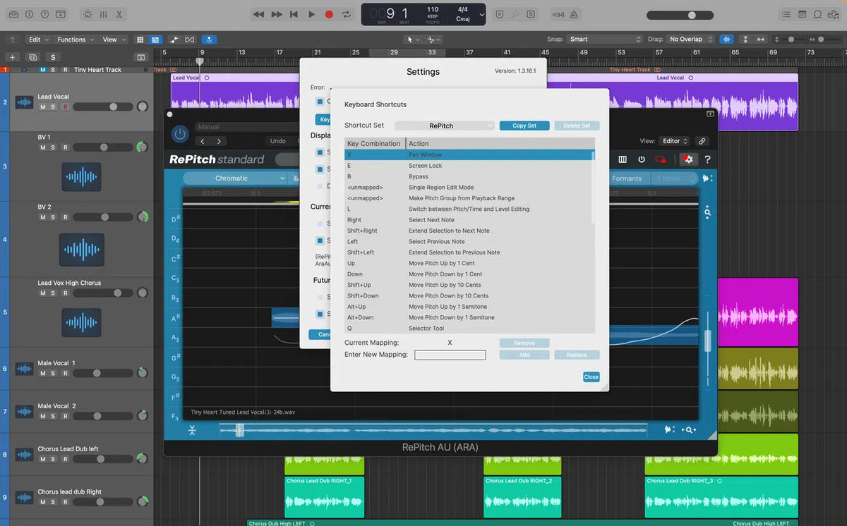 Synchro Arts RePitch Standard Crossgrade