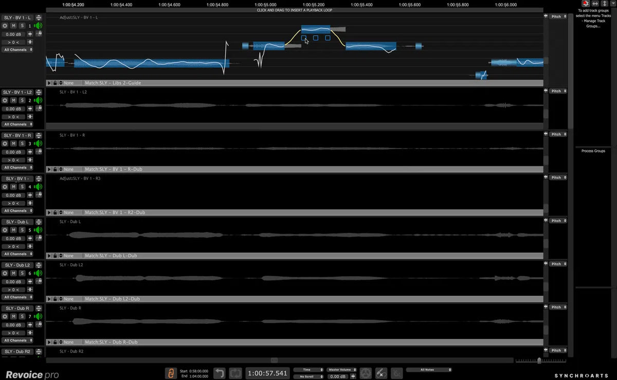 Synchro Arts Revoice Pro 5 Crossgrade
