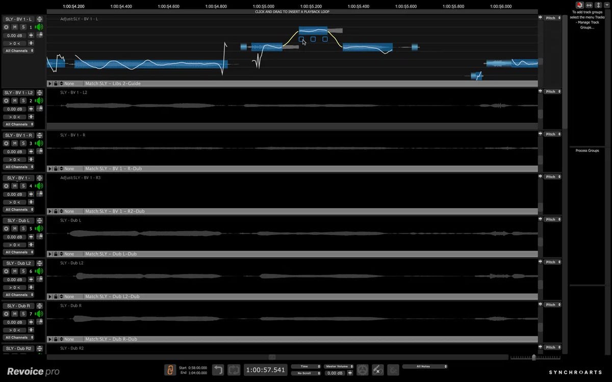 Synchro Arts Revoice Pro 5 Upgrade from Revoice Pro 4