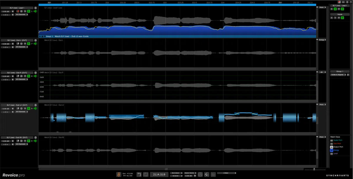 Synchro Arts Revoice Pro 5 Upgrade from Revoice Pro 4