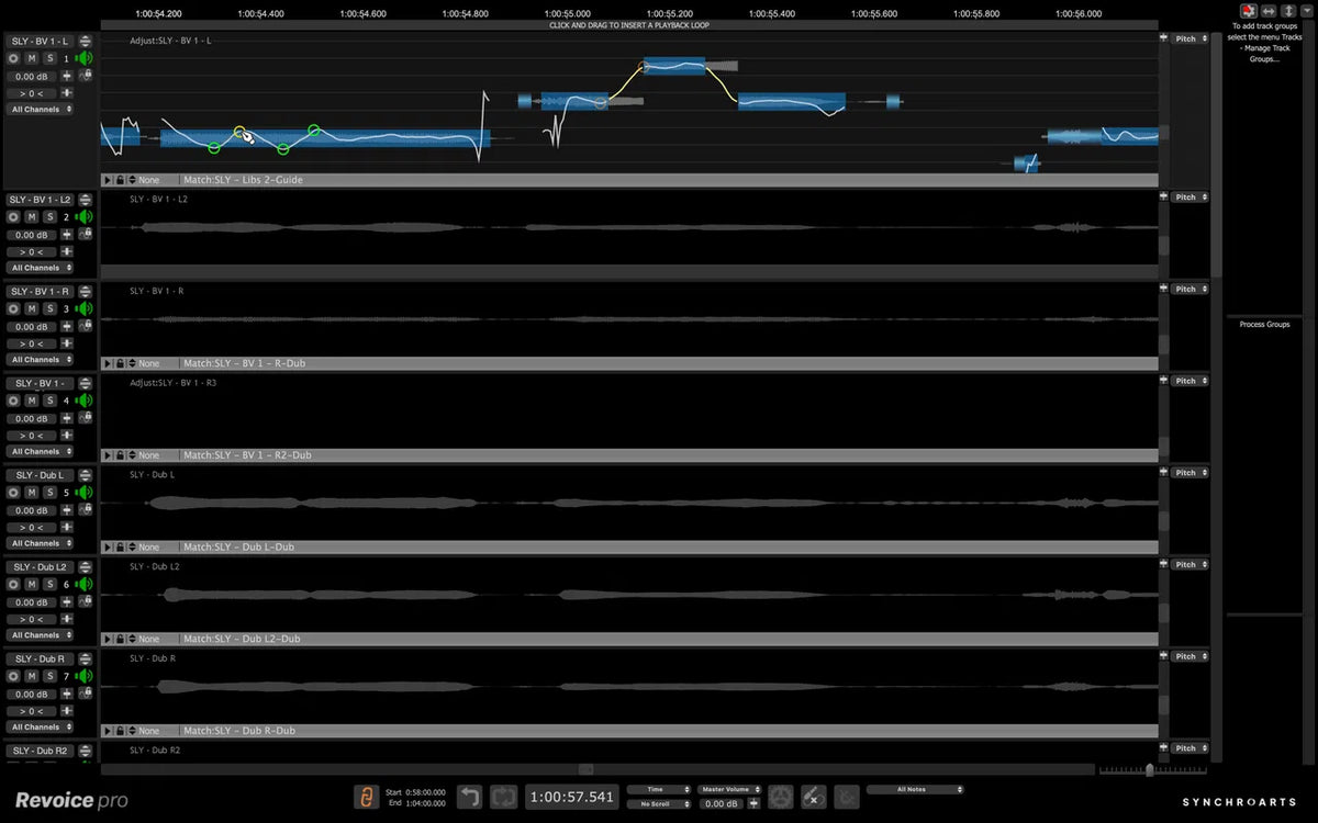 Synchro Arts Revoice Pro 5