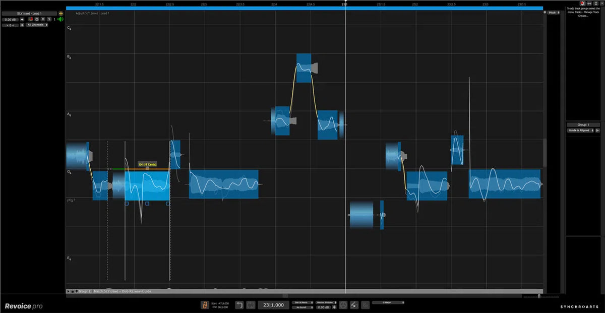 Synchro Arts Revoice Pro 5 Upgrade from Revoice Pro 4