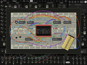 Sugar Bytes Nest
