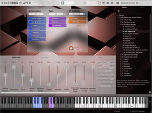 Vienna SYNCHRON-ized Special Edition Volume 1