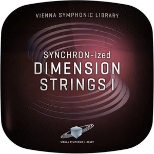 Vienna SYNCHRON-ized Dimension Strings I