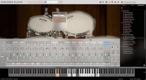 Vienna Synchron Drums III Standard Library
