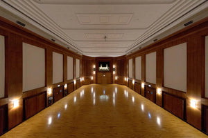 Vienna MIRx Synchron Stage