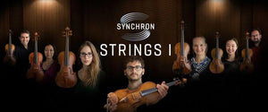 Vienna Synchron Strings I Upgrade to Full Library
