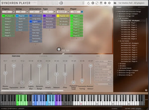 Vienna SYNCHRON-ized Dimension Strings I