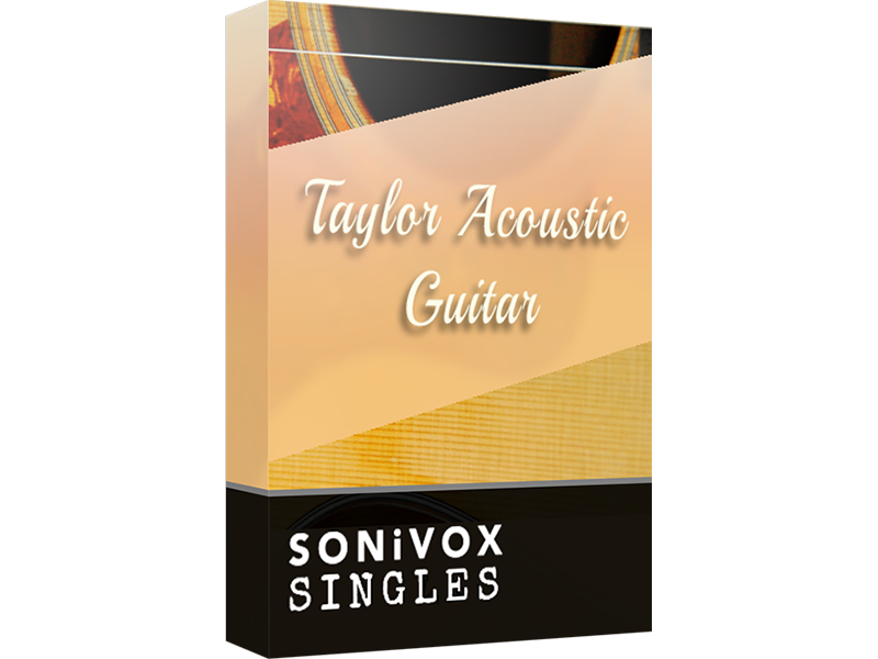sonivox tylor acoustic guitar